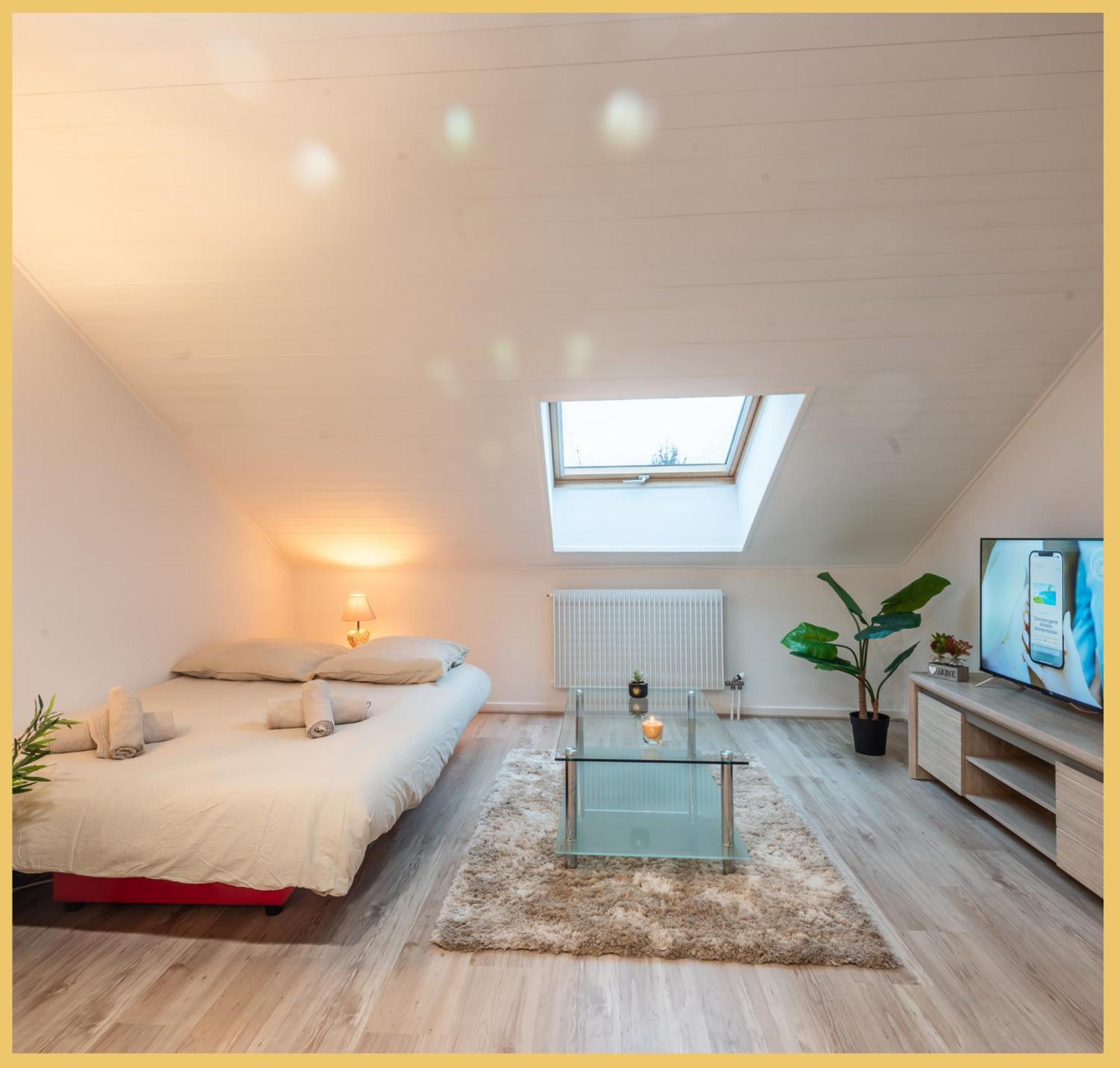 I Chaleureux I Appartement Marignier